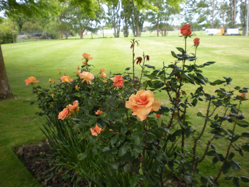 Christchurch Park Motel Zimmer foto